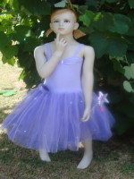 Fairy Girls Fairy Ballet Dress